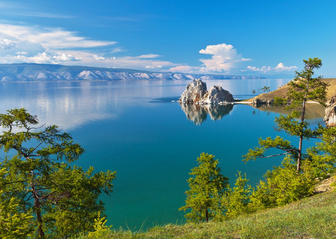 Растительный мир байкала фото